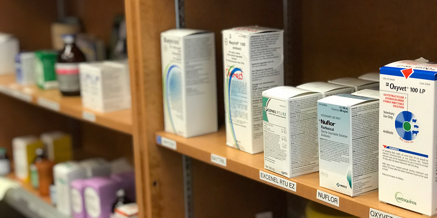 Livestock Medicine Store at Grace Marsh blog